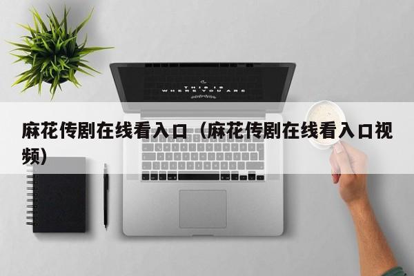 麻花传剧在线看入口(麻花传剧在线看入口视频)
