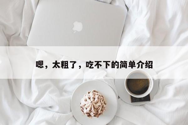 嗯,太粗了,吃不下的简单介绍