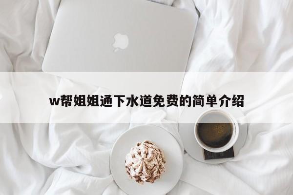w帮姐姐通下水道免费的简单介绍