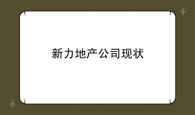 新力地产公司现状