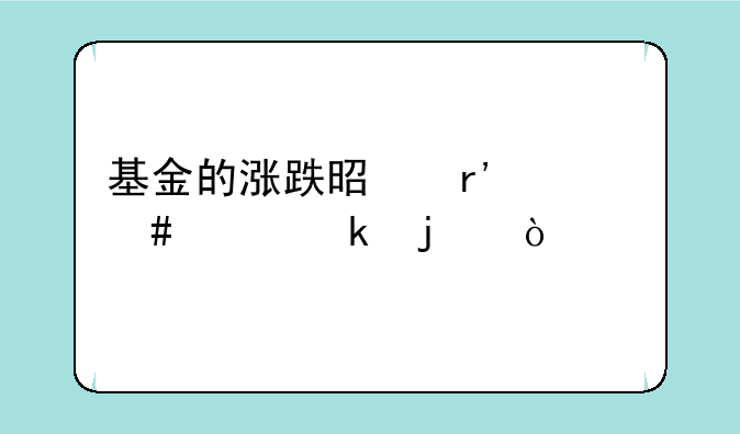 基金的涨跌是有什么决定的？