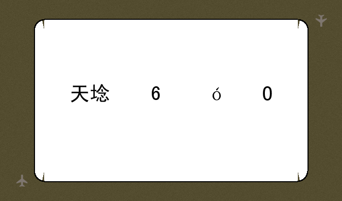 天域半导体股票603717