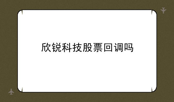 欣锐科技股票回调吗