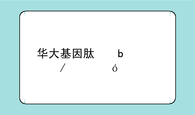 华大基因肿瘤检测价格表