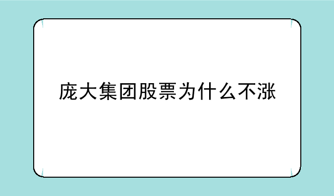 庞大集团股票为什么不涨