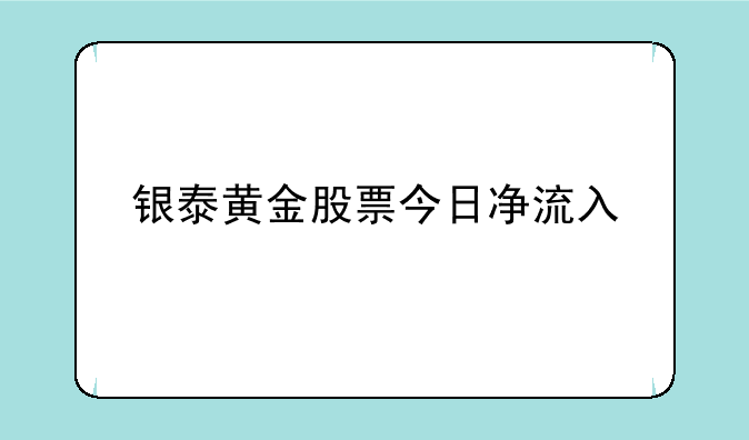 银泰黄金股票今日净流入