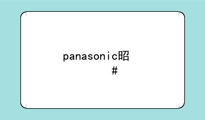 panasonic是什么牌子的相机？