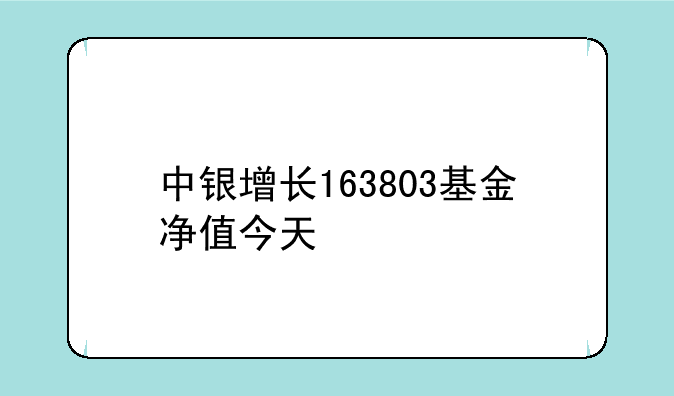 中银增长163803基金净值今天