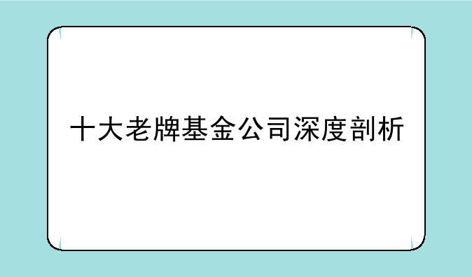 十大老牌基金公司深度剖析