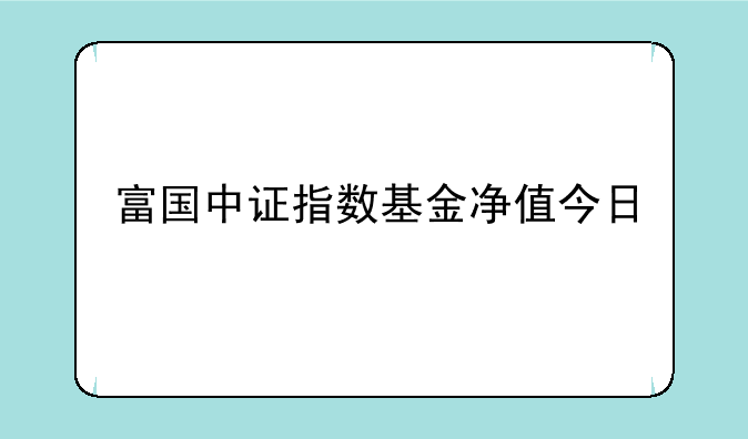 富国中证指数基金净值今日