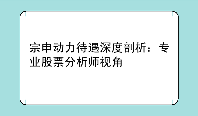 宗申动力待遇深度剖析：专业股票分析师视角