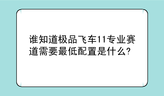 谁知道极品飞车11专业赛道需要最低配置是什么?