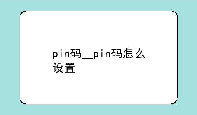 pin码__pin码怎么设置
