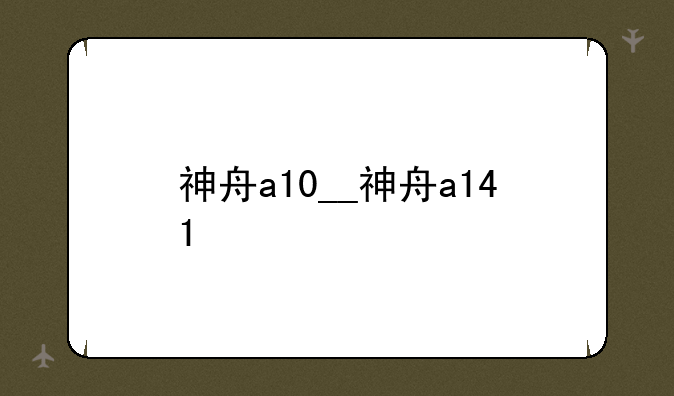 神舟a10__神舟a141