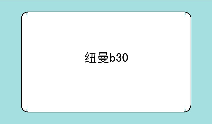 纽曼b30