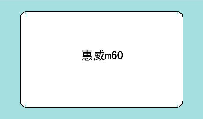 惠威m60