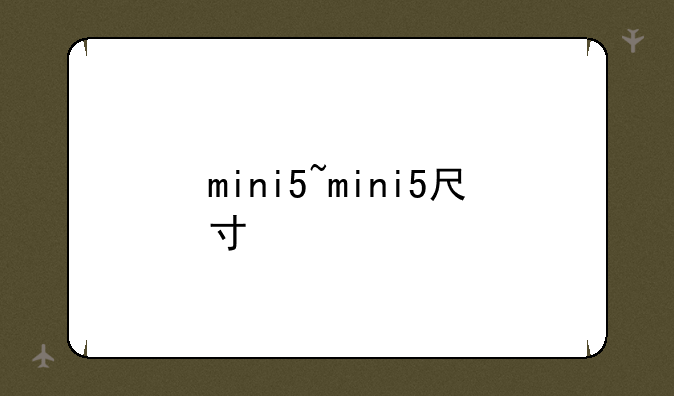 mini5~mini5尺寸