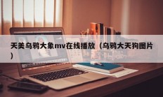 天美乌鸦大象mv在线播放（乌鸦大天狗图片）