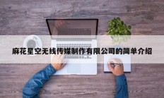 麻花星空无线传媒制作有限公司的简单介绍