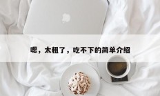 嗯，太粗了，吃不下的简单介绍