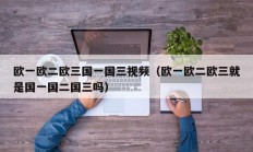 欧一欧二欧三国一国三视频（欧一欧二欧三就是国一国二国三吗）